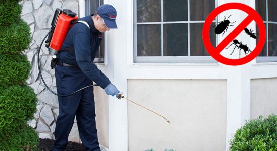 Devrek Hamam Böceği İlaçlama böcek ilaçlama ve haşere kontrolü — ilaclama-tr.com